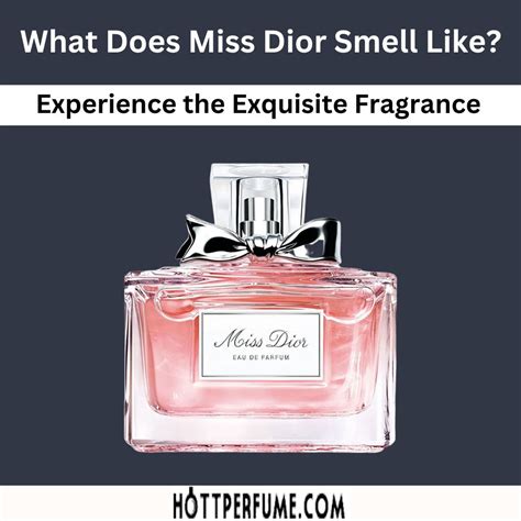 miss dior perfume main accords|what smells like Miss Dior.